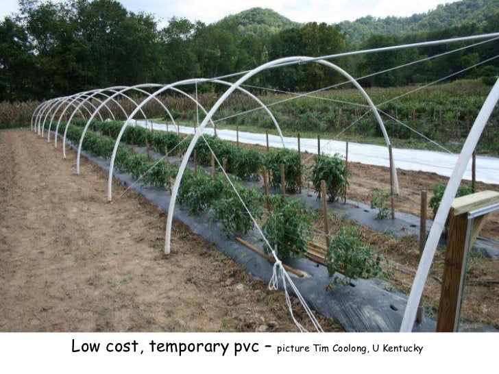 Дуги для парника из стеклопластиковой арматуры. Каркас теплицы из арматуры. Теплица из стеклопластиковой арматуры. Стеклопластиковая арматура для дуг парника. Парник для помидоров.