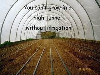 You can’t grow in a  high tunnel  without irrigation! 