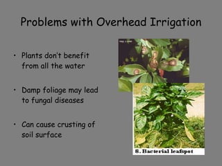 Problems with Overhead Irrigation Plants don’t benefit from all the water Damp foliage may lead to fungal diseases Can cause crusting of soil surface