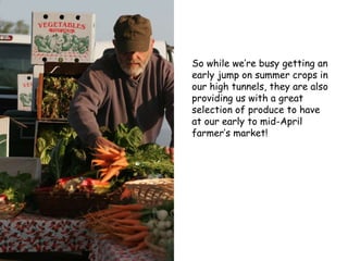 So while we’re busy getting an early jump on summer crops in our high tunnels, they are also providing us with a great selection of produce to have at our early to mid-April farmer’s market! 