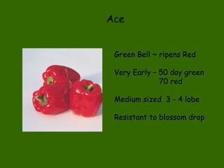Ace Green Bell ~ ripens Red Very Early – 50 day green   70 red Medium sized  3 - 4 lobe Resistant to blossom drop 