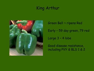 King Arthur Green Bell ~ ripens Red Early – 59 day green, 79 red Large 3 – 4 lobe Good disease resistance, including PVY & BLS 1 & 2 