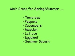 Main Crops for Spring/Summer...... Tomatoes Peppers Cucumbers Mesclun Lettuce Eggplant Summer Squash 