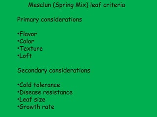 Mesclun (Spring Mix) leaf criteria Primary considerations Flavor Color Texture Loft Secondary considerations Cold tolerance Disease resistance Leaf size Growth rate 