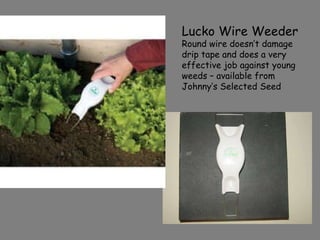 Lucko Wire Weeder Round wire doesn’t damage drip tape and does a very effective job against young weeds – available from Johnny’s Selected Seed 