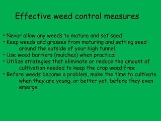 Effective weed control measures Never allow any weeds to mature and set seed Keep weeds and grasses from maturing and setting seed  around the outside of your high tunnel Use weed barriers (mulches) when practical Utilize strategies that eliminate or reduce the amount of  cultivation needed to keep the crop weed free Before weeds become a problem, make the time to cultivate  when they are young, or better yet, before they even  emerge  