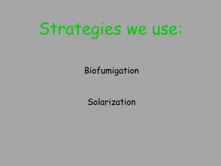 Strategies we use: Biofumigation Solarization 