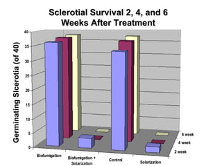 Sclerotial Survival 2, 4, and 6 Weeks After Treatment Germinating Slcerotia (of 40) 