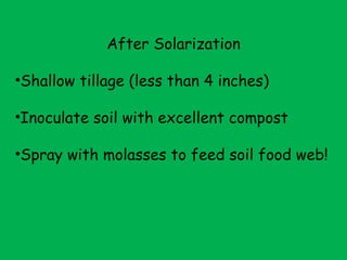 After Solarization Shallow tillage (less than 4 inches) Inoculate soil with excellent compost Spray with molasses to feed soil food web! 