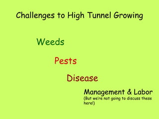 Challenges to High Tunnel Growing ,[object Object],Pests Disease Management & Labor (But we’re not going to discuss these here!) 