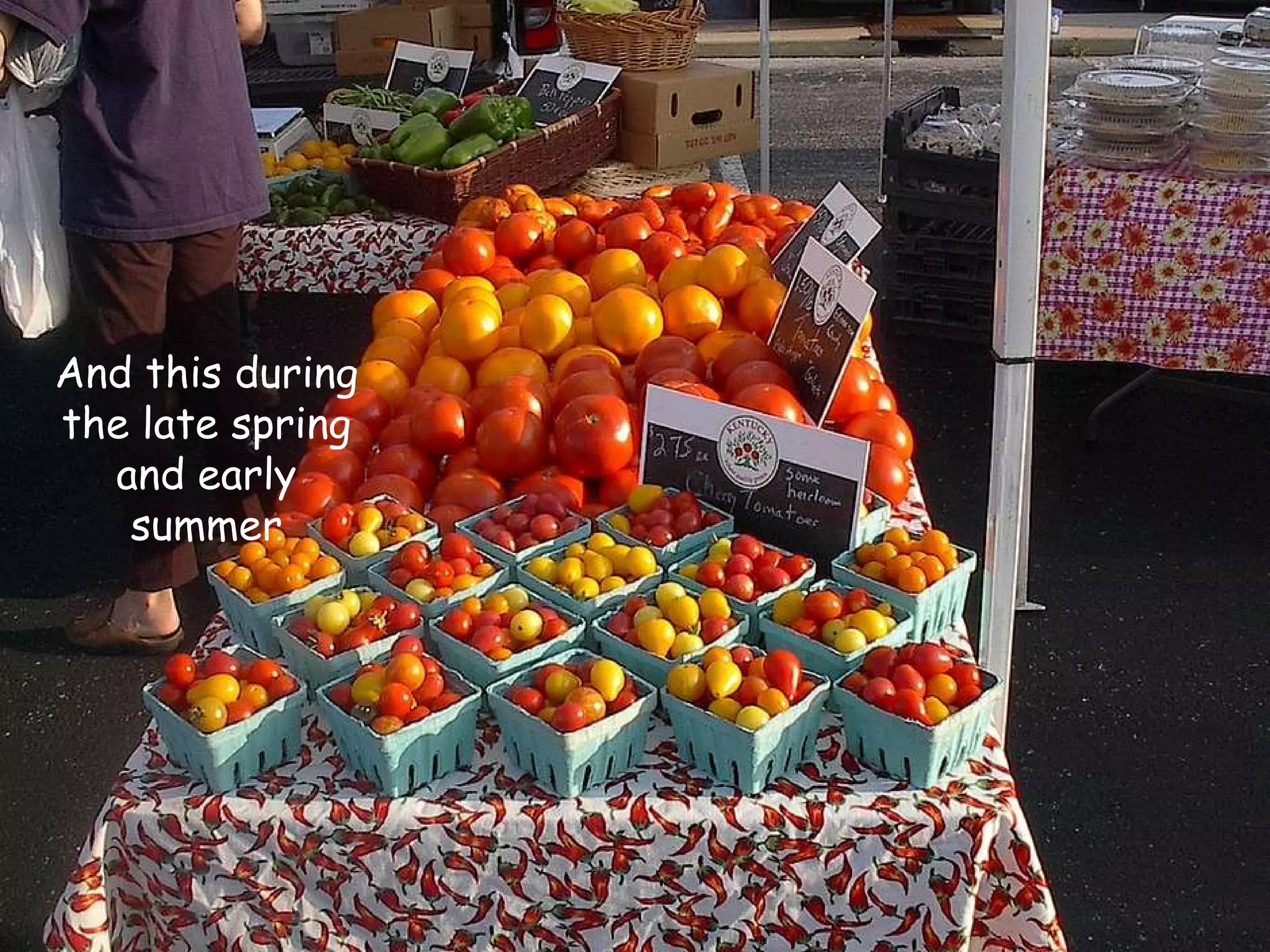 And this during the late spring and early summer 