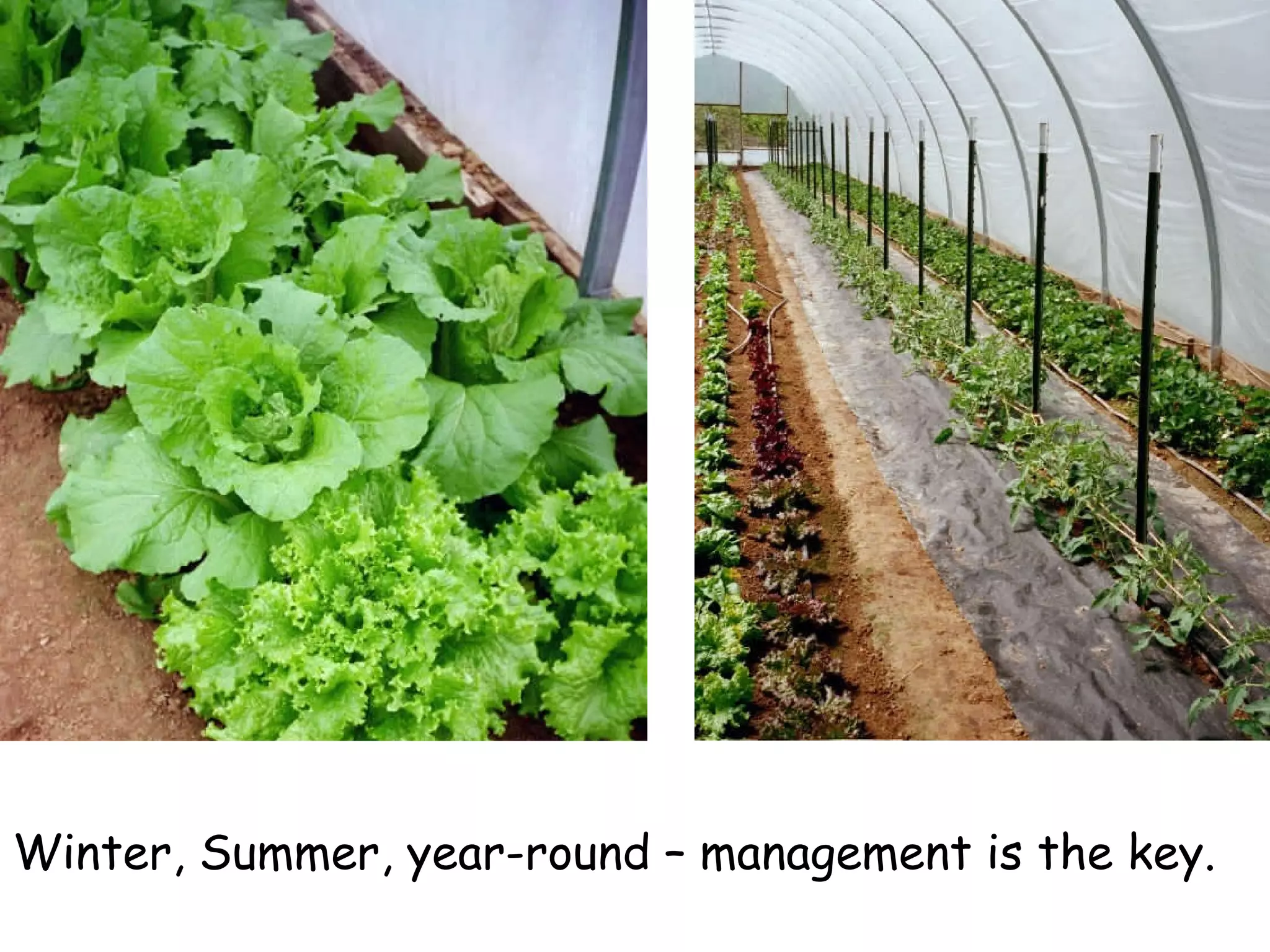 Winter, Summer, year-round – management is the key. 
