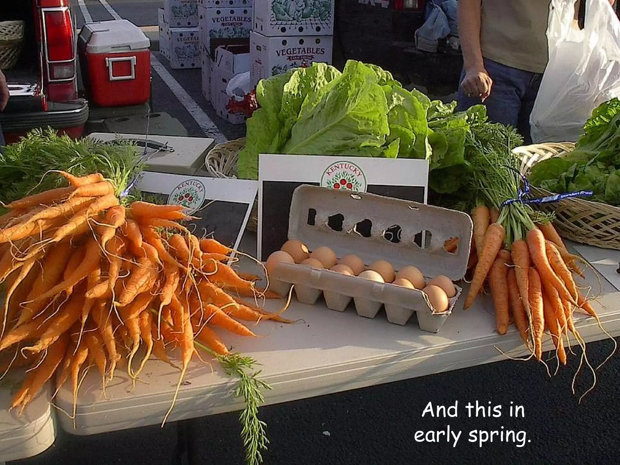 And this in early spring. 