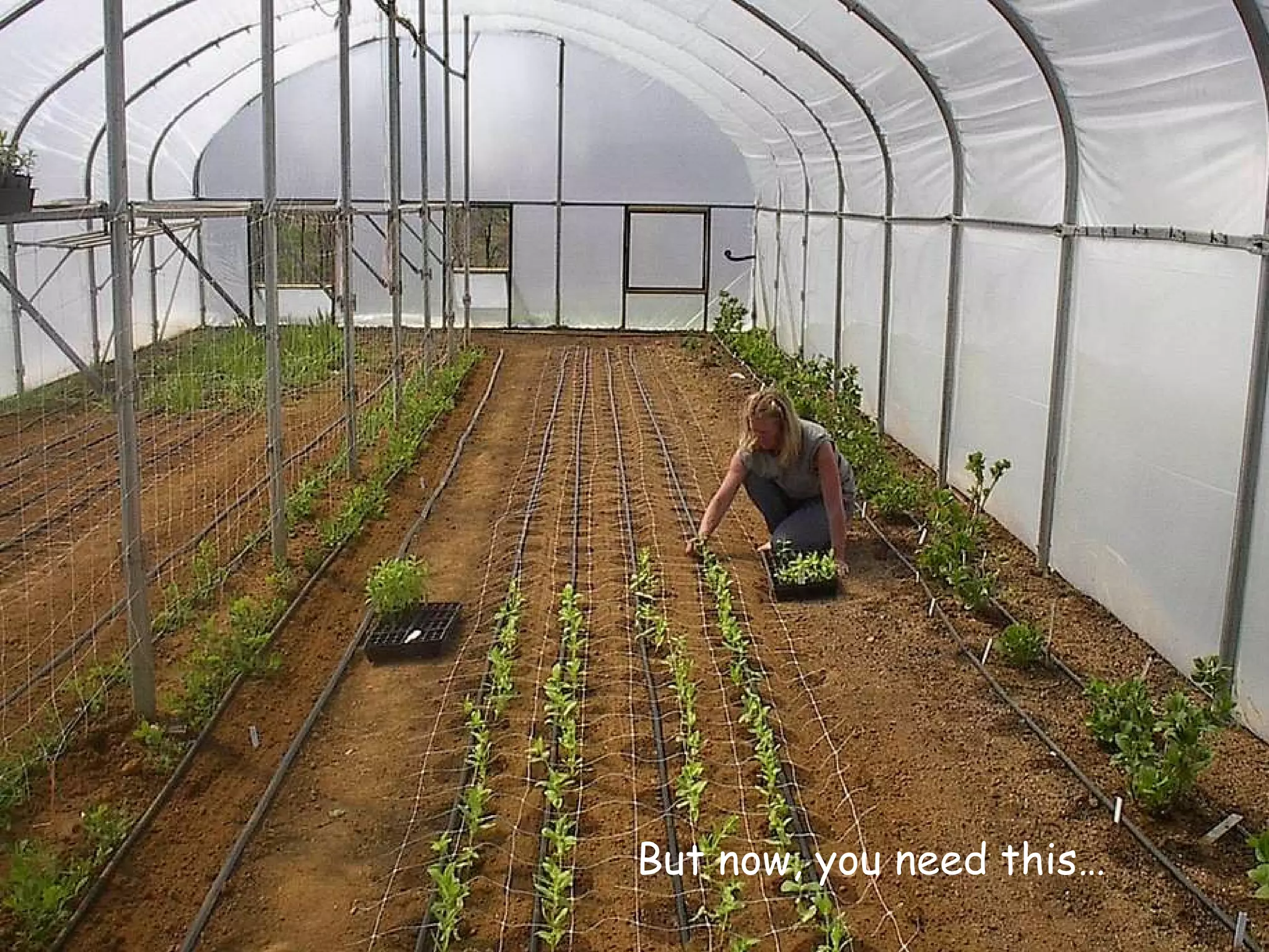 But now, you need this… 