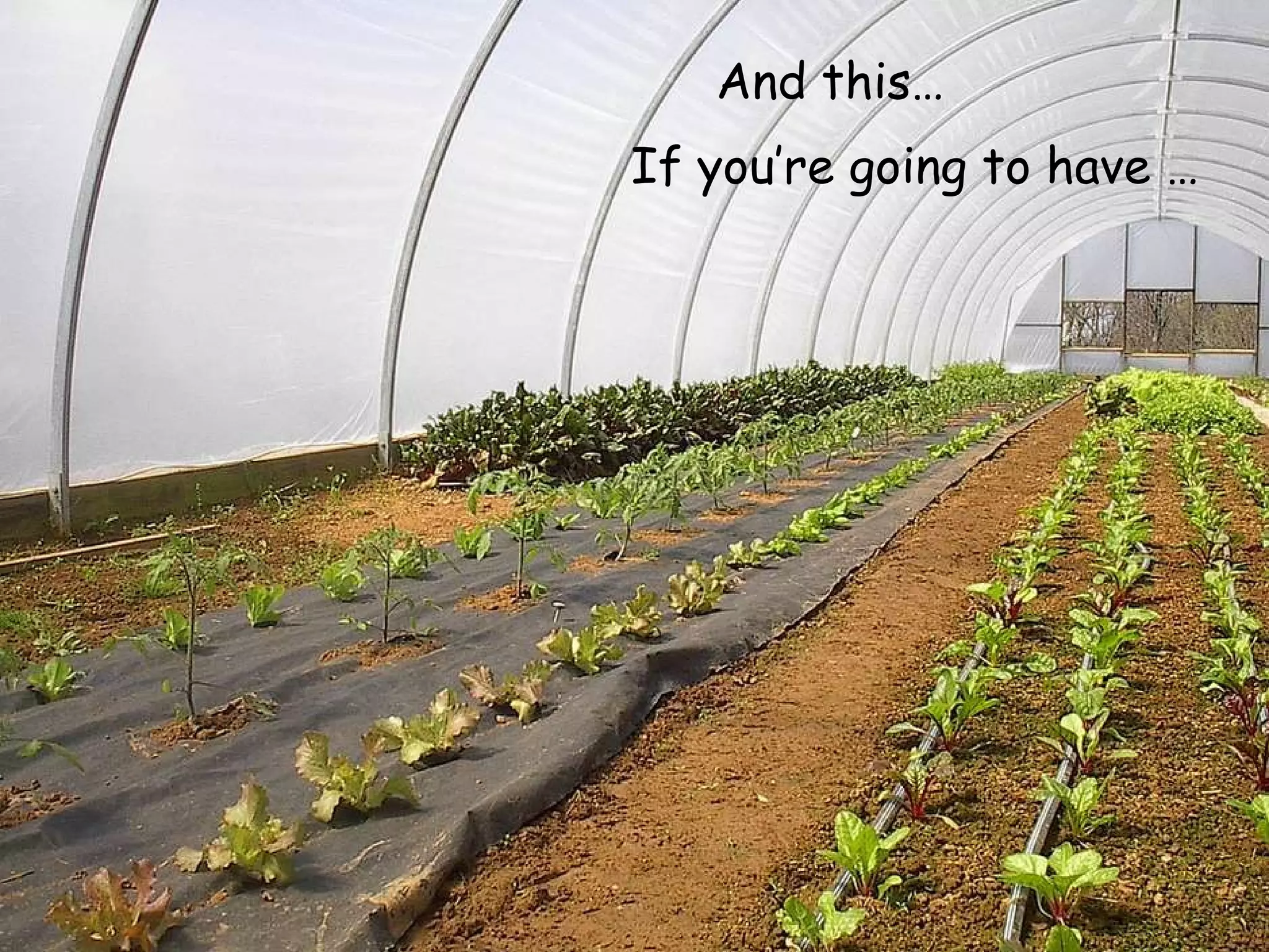 If you’re going to have … And this… 