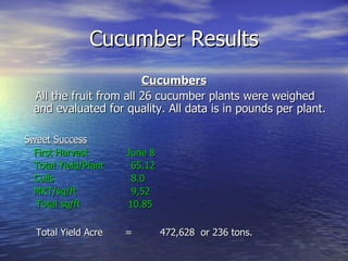 Cucumber Results
                         Cucumbers
  All the fruit from all 26 cucumber plants were weighed
  and evaluated for quality. All data is in pounds per plant.

Sweet Success
  First Harvest       June 8
  Total Yield/Plant    65.12
  Culls                8.0
  MKT/sq/ft            9,52
  Total sq/ft         10.85

  Total Yield Acre    =        472,628 or 236 tons.
 