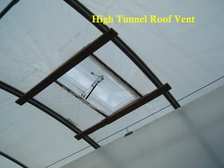 High Tunnel Roof Vent
 