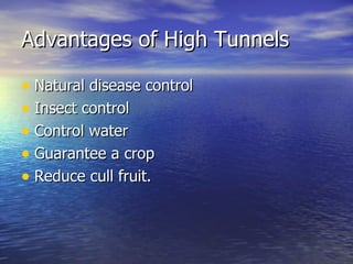 Advantages of High Tunnels

• Natural disease control
• Insect control
• Control water
• Guarantee a crop
• Reduce cull fruit.
 