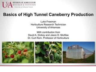 Basics of High Tunnel Caneberry Production
Luke Freeman
Horticulture Research Technician
University of Arkansas
With contribution from
David A. Dickey and Jason D. McAfee
Dr. Curt Rom, Professor of Horticulture
 