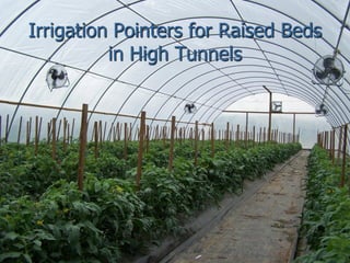 Irrigation Pointers for Raised Beds
          in High Tunnels
 