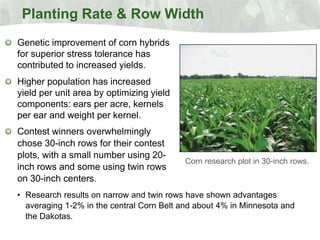 Planting Rate & Row Width
Genetic improvement of corn hybrids
for superior stress tolerance has
contributed to increased yields.
Higher population has increased
yield per unit area by optimizing yield
components: ears per acre, kernels
per ear and weight per kernel.
Contest winners overwhelmingly
chose 30-inch rows for their contest
plots, with a small number using 20-
                                          Corn research plot in 30-inch rows.
inch rows and some using twin rows
on 30-inch centers.
• Research results on narrow and twin rows have shown advantages
  averaging 1-2% in the central Corn Belt and about 4% in Minnesota and
  the Dakotas.
 