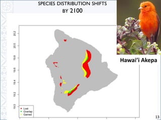 13
Hawai’i Akepa
SPECIES DISTRIBUTION SHIFTS
BY 2100
 