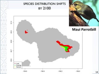 14
SPECIES DISTRIBUTION SHIFTS
BY 2100
Maui Parrotbill
 