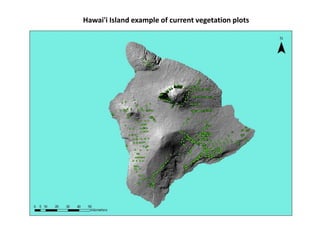 Hawai'i Island example of current vegetation plots
 