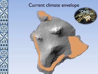 Current climate envelope
 