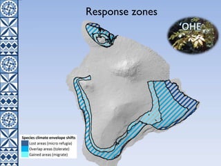 Response zones
 