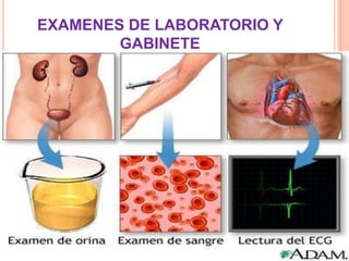 EXAMENES DE LABORATORIO Y
        GABINETE
 