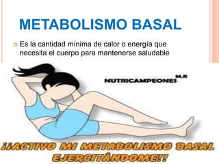 METABOLISMO BASAL
   Es la cantidad mínima de calor o energía que
    necesita el cuerpo para mantenerse saludable
 
