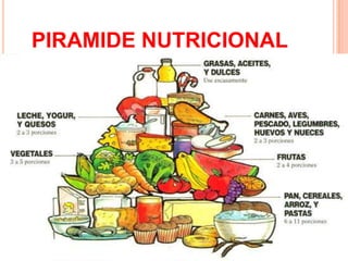 PIRAMIDE NUTRICIONAL
 