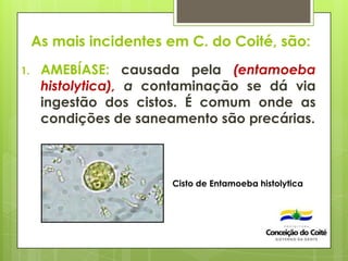 As mais incidentes em C. do Coité, são:
1. AMEBÍASE: causada pela (entamoeba
histolytica), a contaminação se dá via
ingestão dos cistos. É comum onde as
condições de saneamento são precárias.
Cisto de Entamoeba histolytica
 