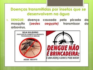 Doenças transmitidas por insetos que se
desenvolvem na água
1. DENGUE: doença causada pela picada do
mosquito (aedes aegypte) transmissor do
arbovírus.
 