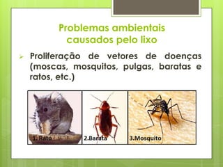  Proliferação de vetores de doenças
(moscas, mosquitos, pulgas, baratas e
ratos, etc.)
Problemas ambientais
causados pelo lixo
 