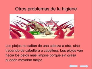 Otros problemas de la higiene
Los piojos no saltan de una cabeza a otra, sino
trepando de cabellera a cabellera. Los piojos van
hacia los pelos mas limpios porque sin grasa
pueden moverse mejor.
 
