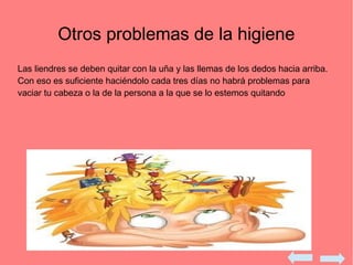 Otros problemas de la higiene
Las liendres se deben quitar con la uña y las llemas de los dedos hacia arriba.
Con eso es suficiente haciéndolo cada tres días no habrá problemas para
vaciar tu cabeza o la de la persona a la que se lo estemos quitando
 