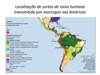 Localização de surtos de raiva humana
transmitida por morcegos nas Américas
 