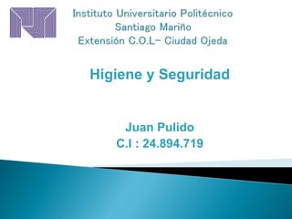 Higiene y Seguridad
Juan Pulido
C.I : 24.894.719
 