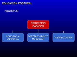 EDUCACIÓN POSTURAL ABORDAJE PRINCIPIOS BÁSICOS CONCIENCIA CORPORAL FORTALECIMIENTO MUSCULAR FLEXIBILIZACIÓN 