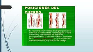 Higiene postural