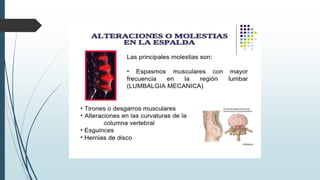 Higiene postural