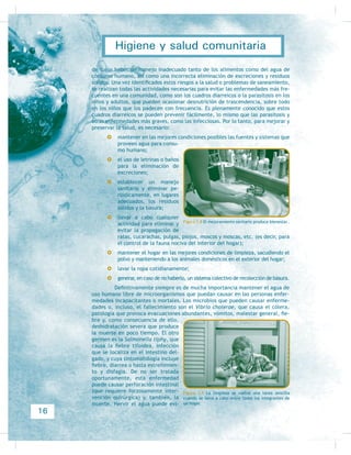 ¿Debo ser estricto con la asistencia de los alumnos?
Desarrollando mis competencias
Educación para la salud
Educación para la salud y educación sanitaria son términos que se pueden utilizar
indistintamente para referirse a una serie de actividades de información que, al
VHU SXHVWDV HQ SUiFWLFD DOFDQFHQ R SUHVHUYHQ OD VDOXG (O FRQFHSWR GH VDOXG VH KD
entendido durante mucho tiempo como la ausencia de enfermedad, pero reciente-
PHQWH VX VLJQLÀFDGR VH DPSOLy SDUD DEDUFDU XQ HVWDGR GH FRPSOHWR ELHQHVWDU ItVL-
FR SVtTXLFR  VRFLDO GHÀQLFLyQ SURSXHVWD SRU OD 2UJDQL]DFLyQ 0XQGLDO GH OD 6DOXG
206 