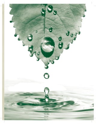 5HVXOWDGR GH DSUHQGL]DMH 
$SOLFD WpFQLFDV EiVLFDV GH SULPHURV DX[LOLRV 38
5HDQLPDFLyQ FDUGLRSXOPRQDU 53 