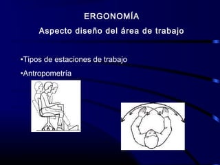 ERGONOMÍA
Aspecto diseño del área de trabajo
•Tipos de estaciones de trabajo
•Antropometría
 