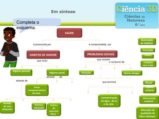 Em síntese
Completa o
esquema.
é promovida por
Álcool
Destruição
de habitats
Vacinação
Período
de sono
adequado
Evitar
comportamentos
de risco
Alimentação
saudável
Contaminação
da água , do ar
e do solo
Outras drogas
Prática
de
exercício
físico
Postura
adequada
Poluição
Higiene
corporal
Cuidados
com o lixo
Alteração da
qualidade de
vida e doenças
HABITOS DE HIGIENE
que inclui
PROBLEMAS SOCIAIS
Higiene pessoal
Higiene social
através de
através de
que incluem
o consumo de
é comprometida por
que provoca
SAÚDE
Tabaco
 