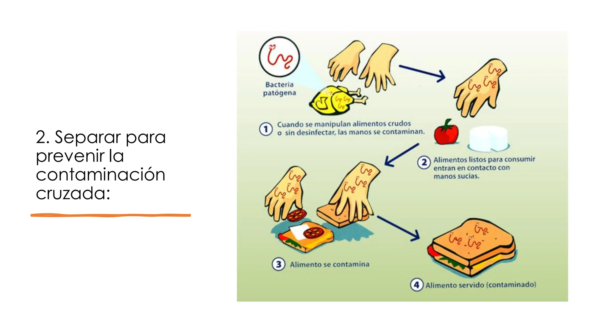 2. Separar para
prevenir la
contaminación
cruzada:
 