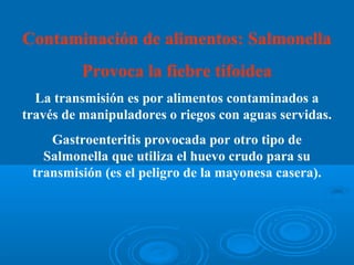 Contaminación de alimentos: Salmonella
          Provoca la fiebre tifoidea
  La transmisión es por alimentos contaminados a
través de manipuladores o riegos con aguas servidas.
    Gastroenteritis provocada por otro tipo de
   Salmonella que utiliza el huevo crudo para su
 transmisión (es el peligro de la mayonesa casera).
 
