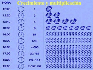 Crecimiento y multiplicación
 